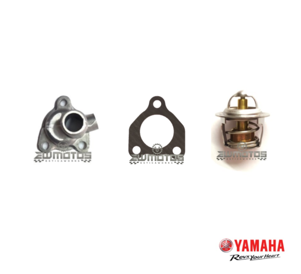 Kit Termostato DTR 1255